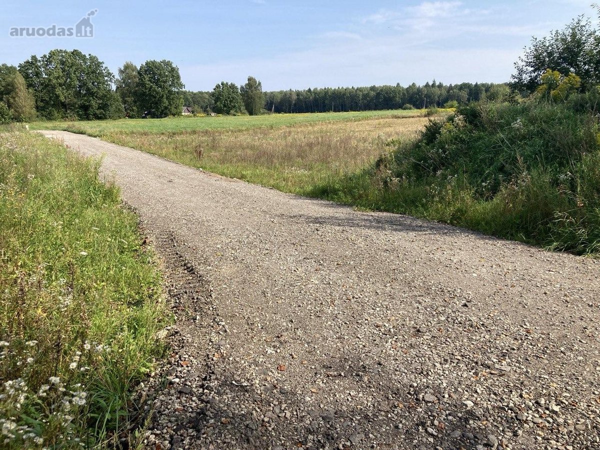 Parduodamas 0,5353 ha dydžio žemės sklypas. - nuotraukos Nr. 11