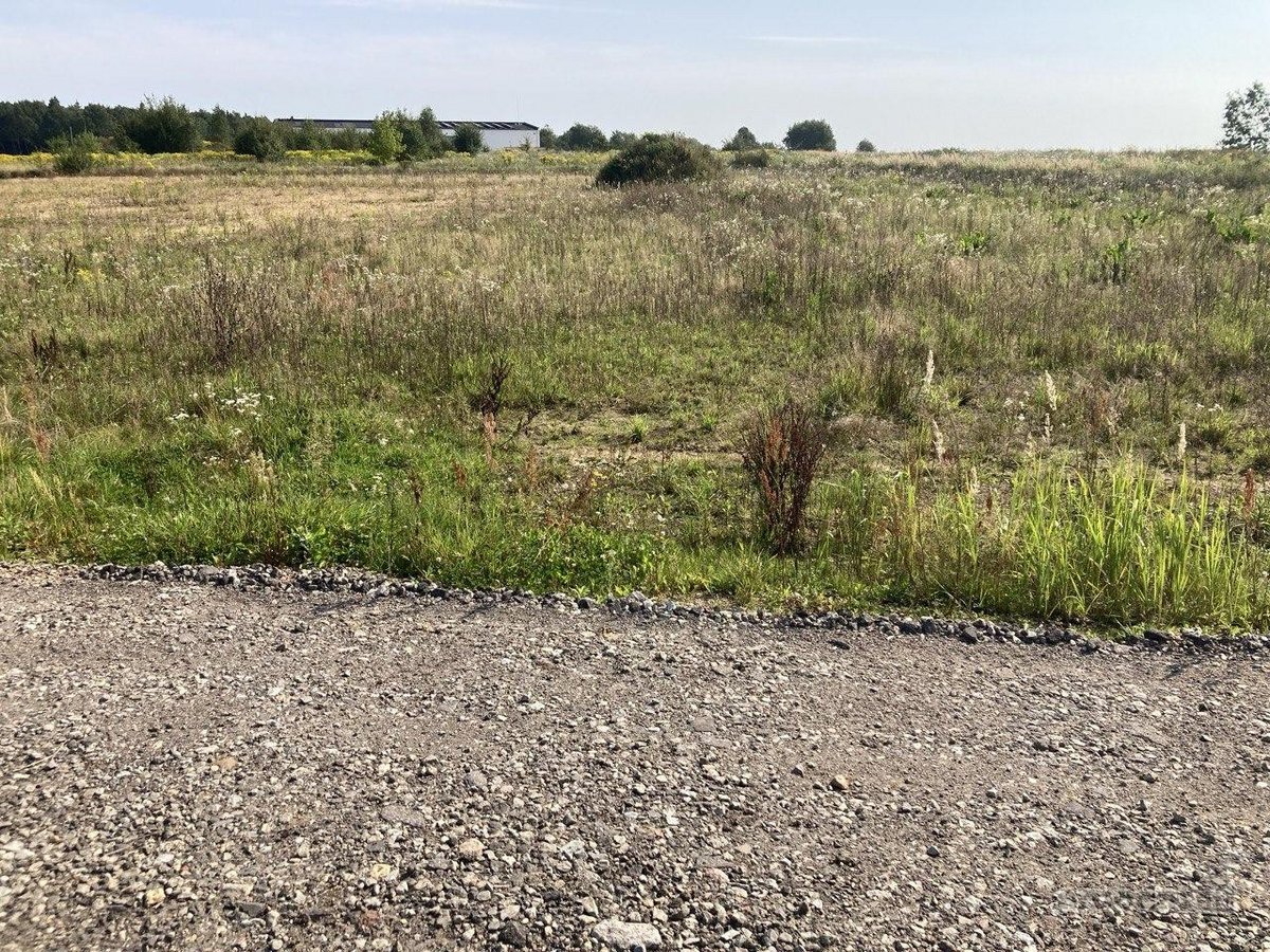 Parduodamas 0,5353 ha dydžio žemės sklypas. - nuotraukos Nr. 12