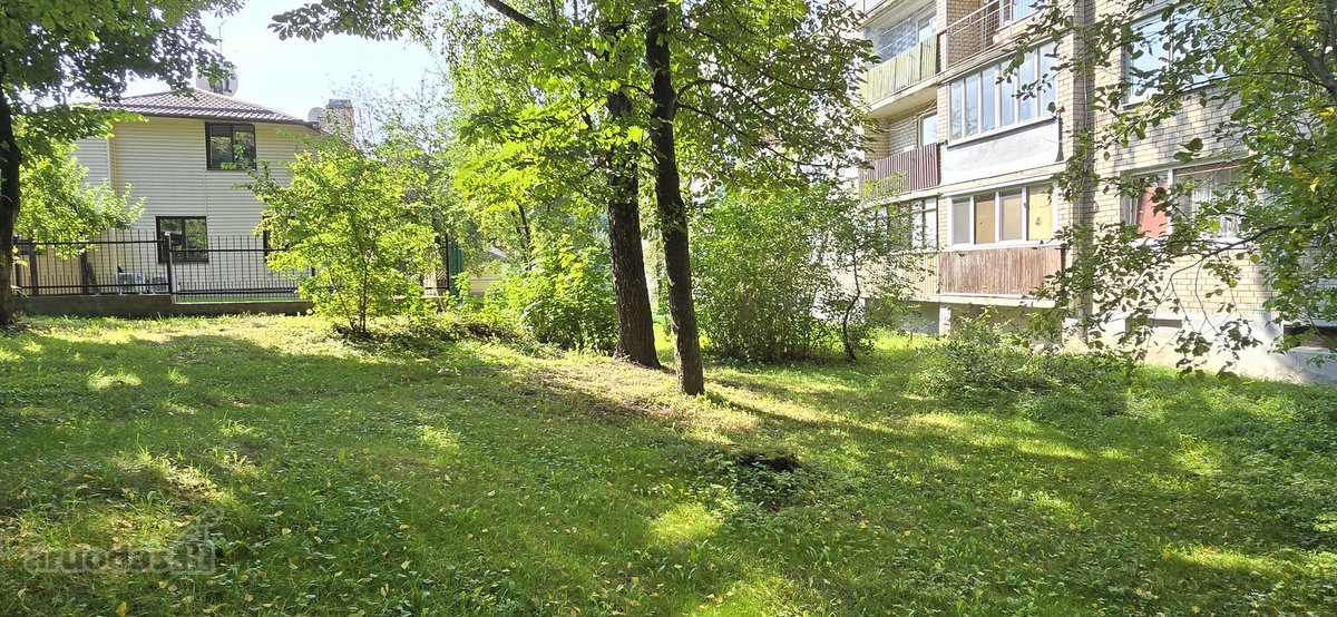 Nuomojamas Tvarkingas, Prieš Metus - nuotraukos Nr. 20