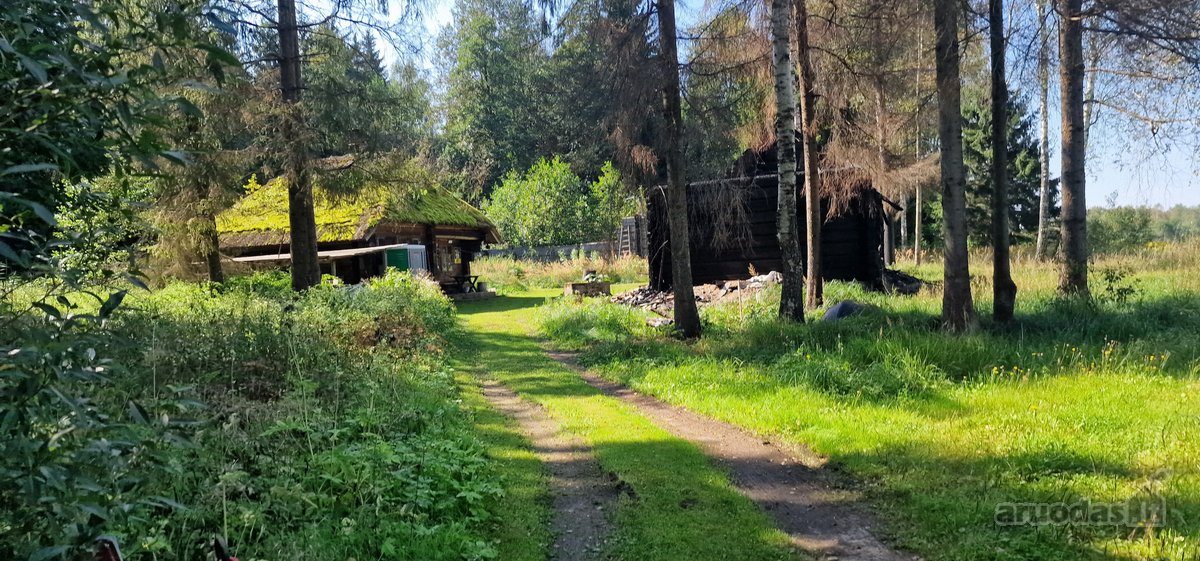 Vilniaus rajone, šalia Arvydų, parduodama - nuotraukos Nr. 3