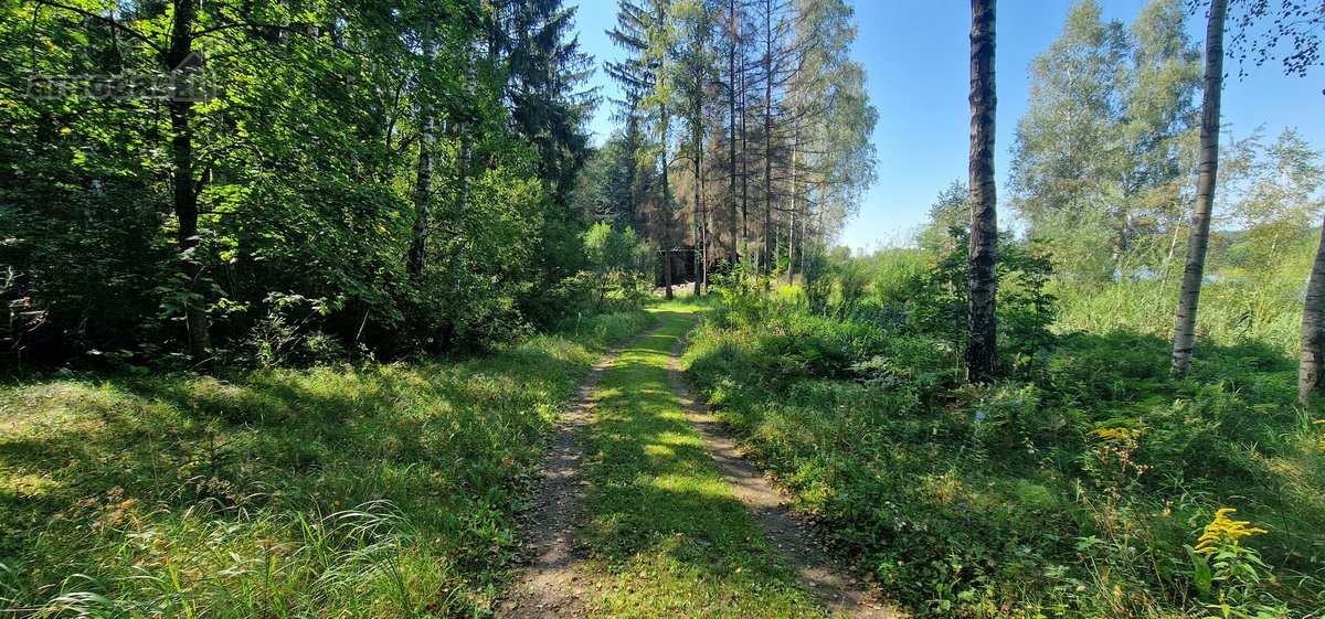 Vilniaus rajone, šalia Arvydų, parduodama - nuotraukos Nr. 5