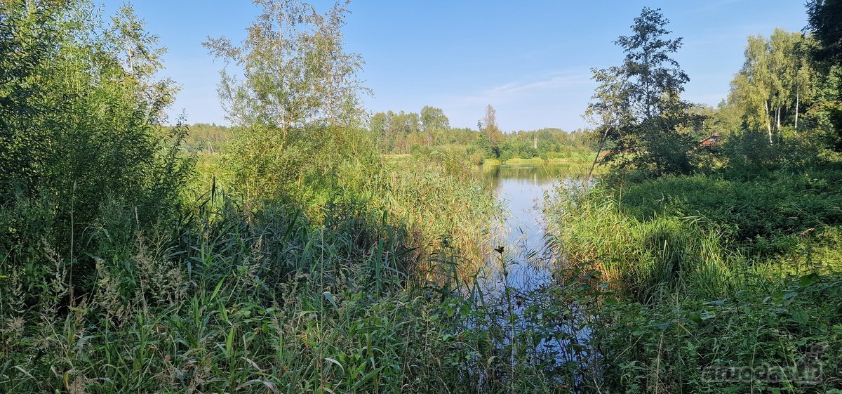 Vilniaus rajone, šalia Arvydų, parduodama - nuotraukos Nr. 7