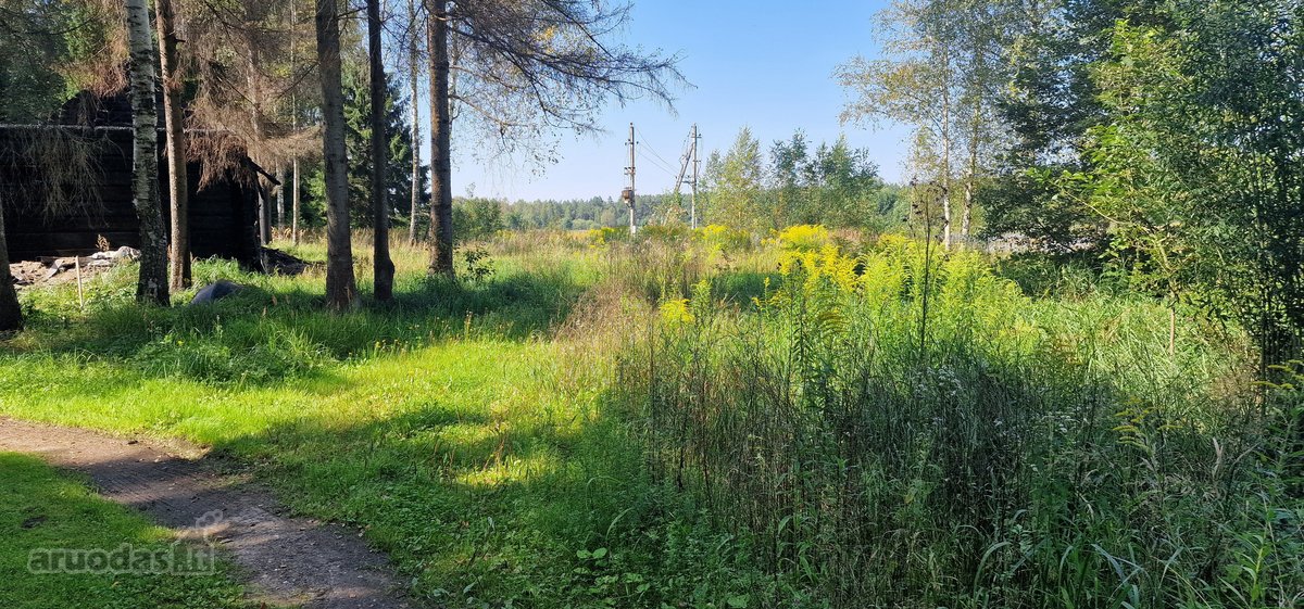 Vilniaus rajone, šalia Arvydų, parduodama - nuotraukos Nr. 8