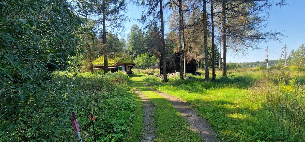 Vilniaus rajone, šalia Arvydų, parduodama - nuotraukos Nr. 11