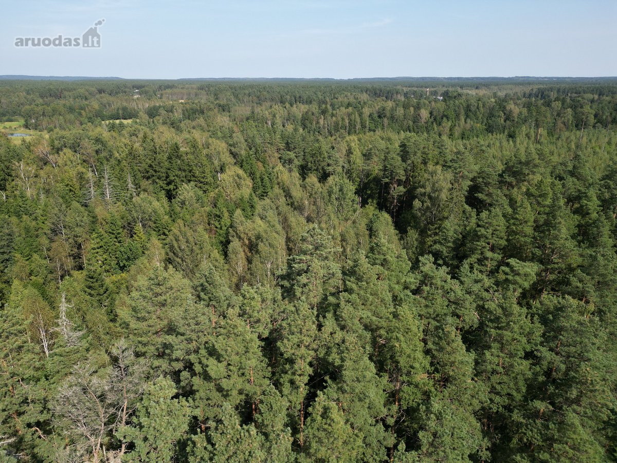 Vilniaus rajone, šalia Arvydų, parduodama - nuotraukos Nr. 12