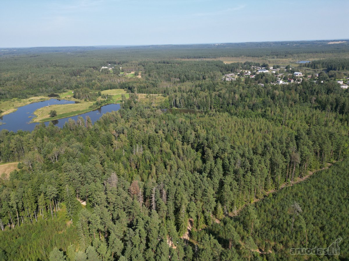 Vilniaus rajone, šalia Arvydų, parduodama - nuotraukos Nr. 13