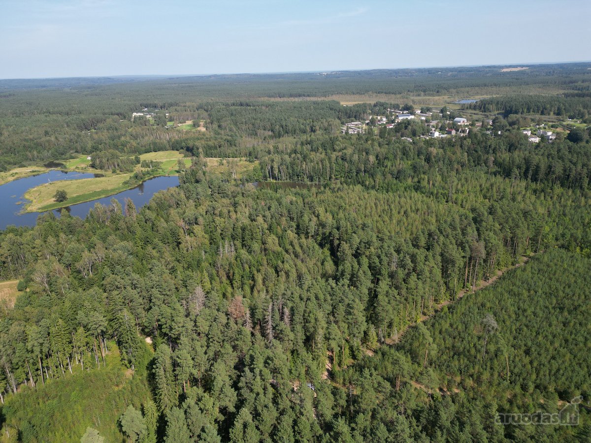 Vilniaus rajone, šalia Arvydų, parduodama - nuotraukos Nr. 14