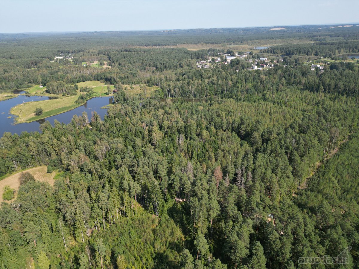 Vilniaus rajone, šalia Arvydų, parduodama - nuotraukos Nr. 15