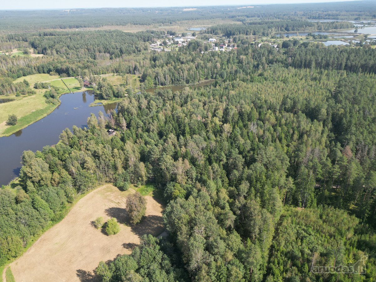Vilniaus rajone, šalia Arvydų, parduodama - nuotraukos Nr. 16