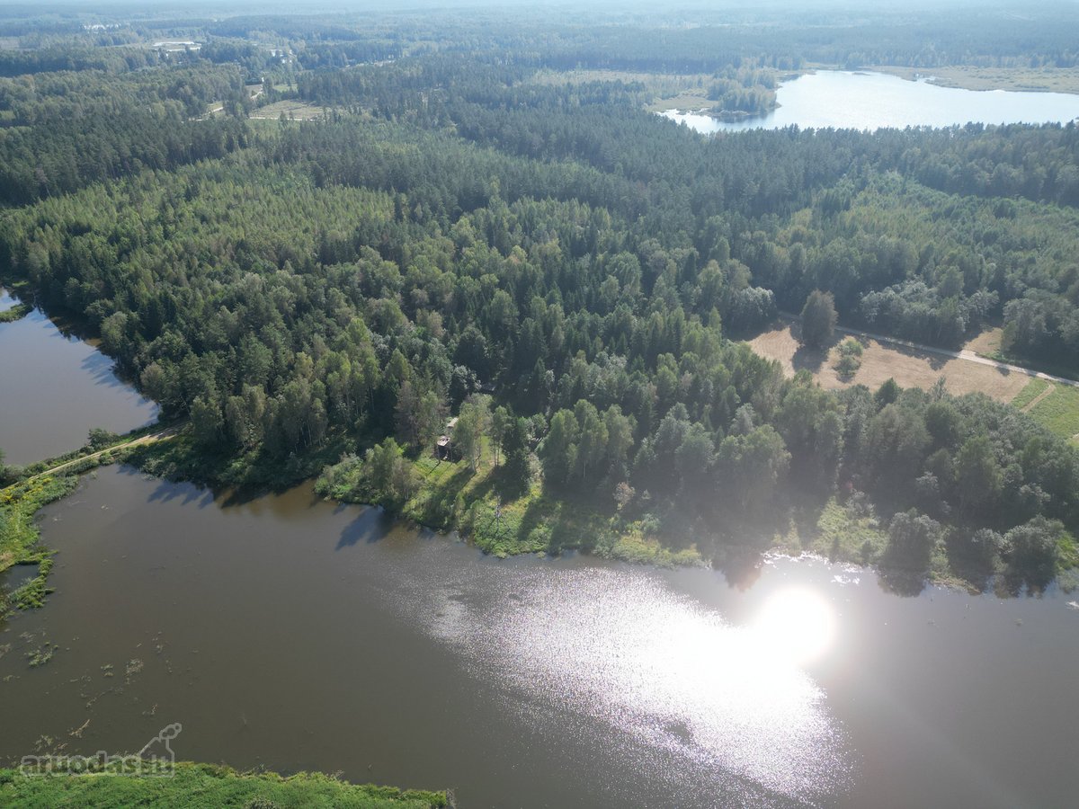 Vilniaus rajone, šalia Arvydų, parduodama - nuotraukos Nr. 18