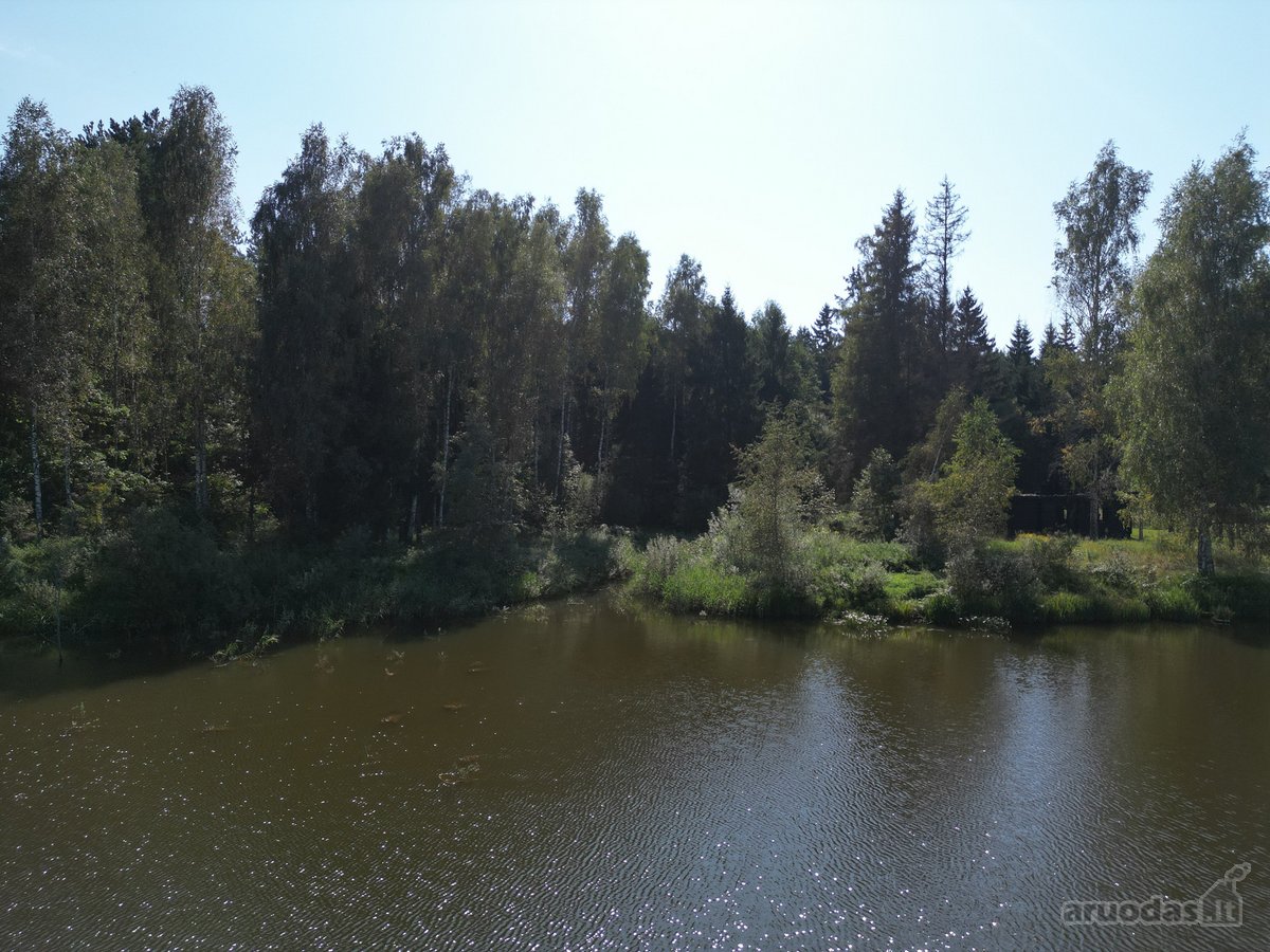 Vilniaus rajone, šalia Arvydų, parduodama - nuotraukos Nr. 24