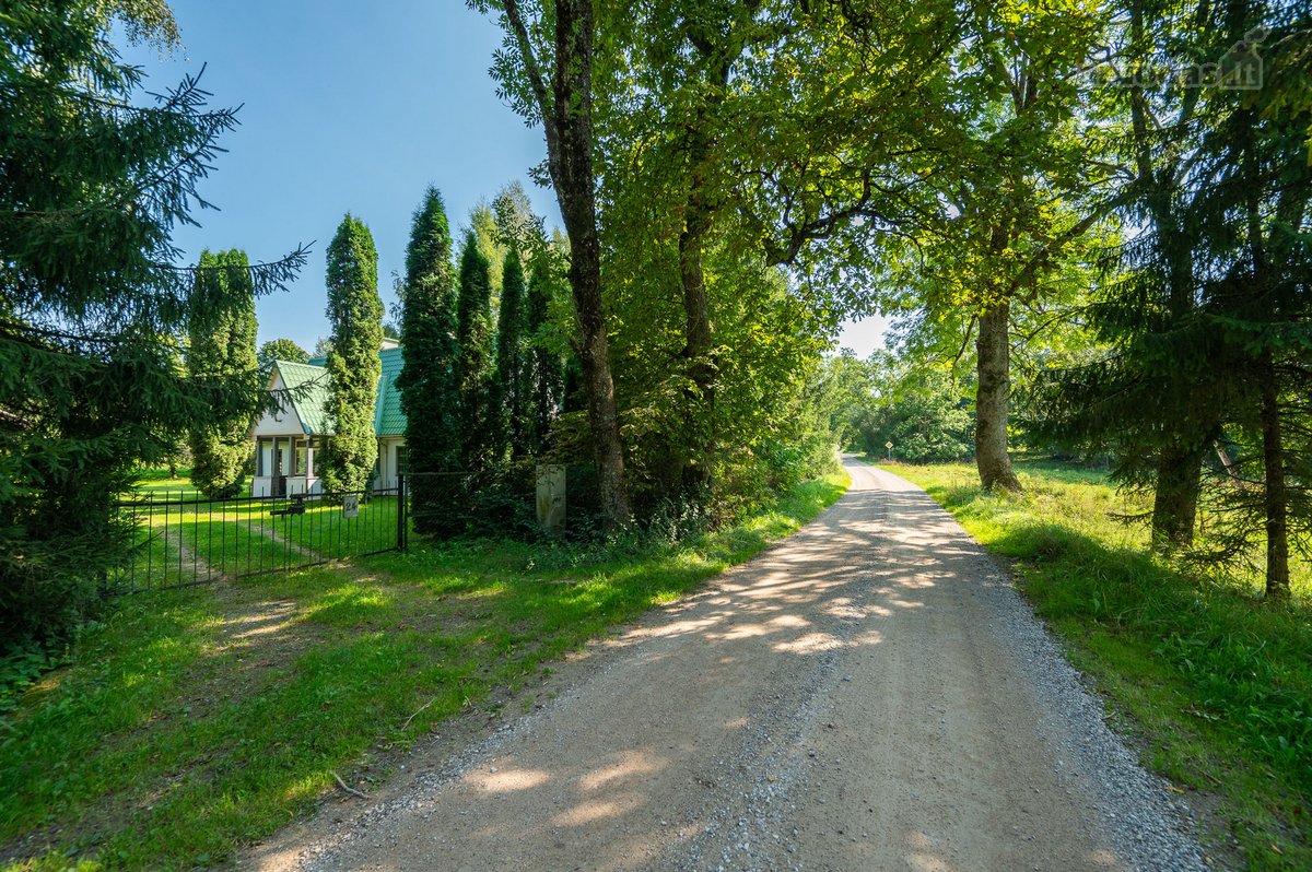 Išskirtinėje Vietoje, Gamtos Apsuptyje, Net - nuotraukos Nr. 11
