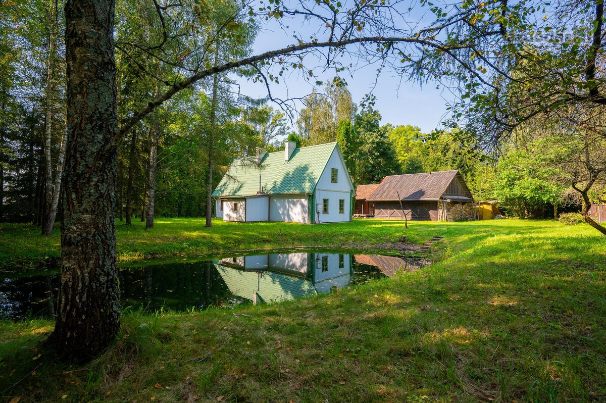 Išskirtinėje Vietoje, Gamtos Apsuptyje, Net - nuotraukos Nr. 3