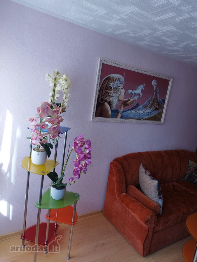 Parduodamas butas bendrabutyje su baldais bei - nuotraukos Nr. 25
