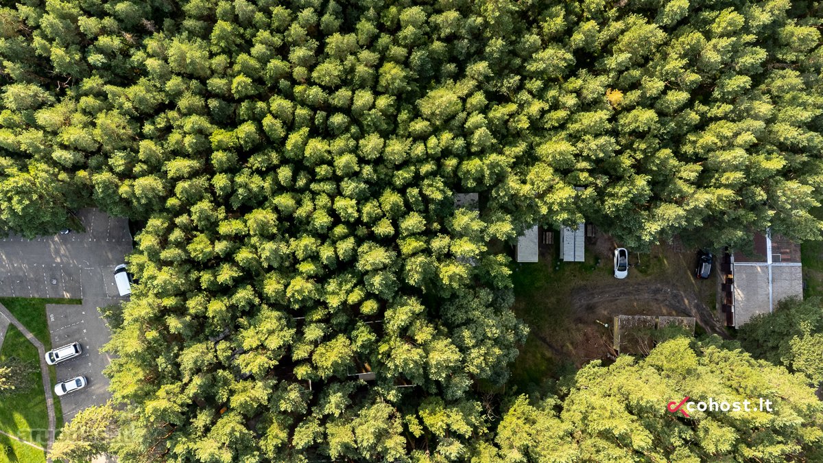 Išskirtinis 15 arų sklypas Palangoje su - nuotraukos Nr. 3