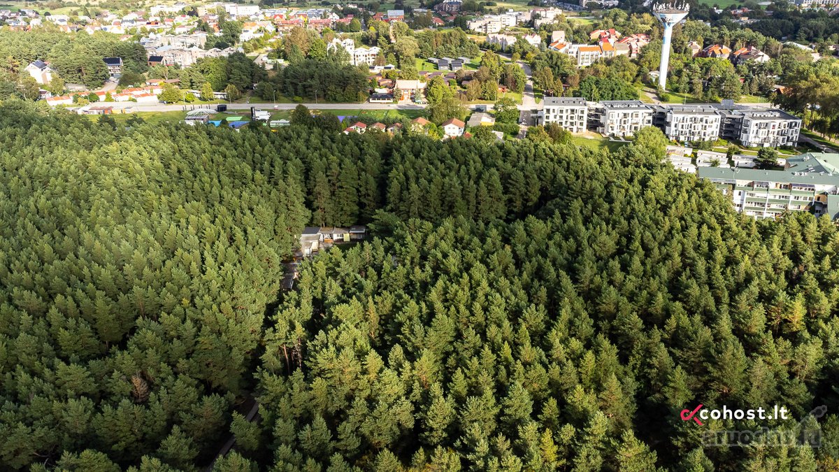 Išskirtinis 15 arų sklypas Palangoje su - nuotraukos Nr. 5
