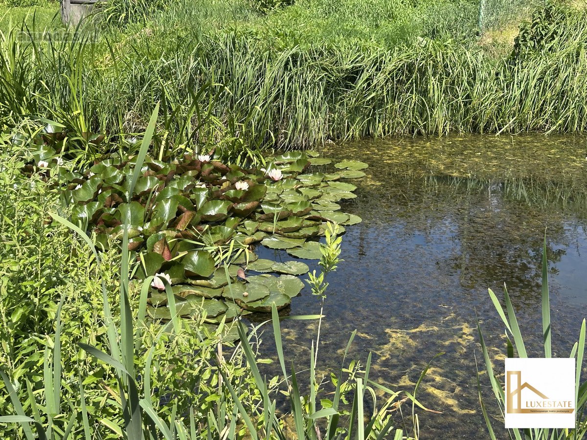 Parduodamas Sodo Namelis Su Prūdu Sklype - nuotraukos Nr. 15