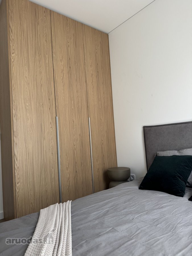 Nuomojami Moderniai Įrengti 2 Kambarių Butas - nuotraukos Nr. 6