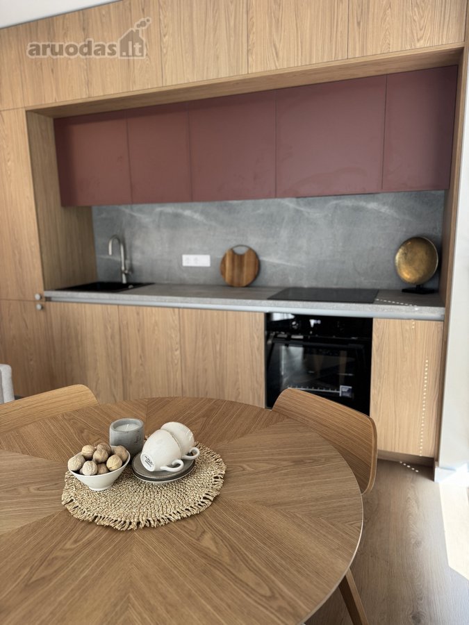 Nuomojami Moderniai Įrengti 2 Kambarių Butas - nuotraukos Nr. 10