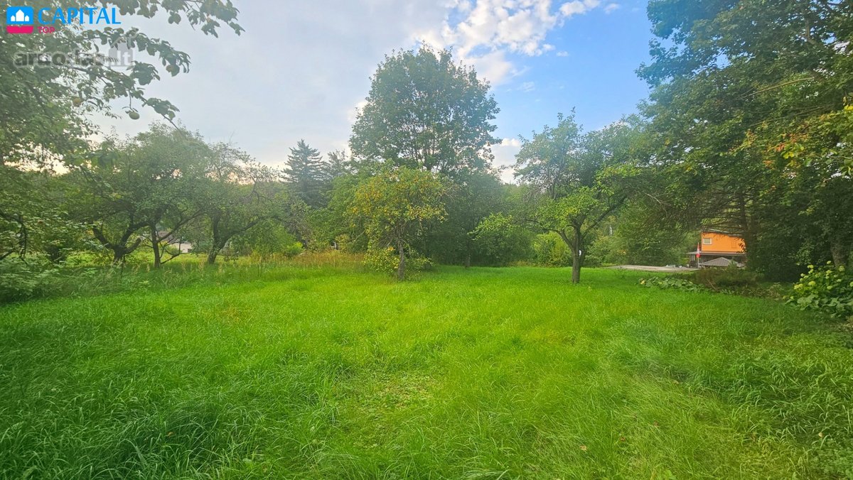 Parduodami du žemės sklypai ramioje vietoje