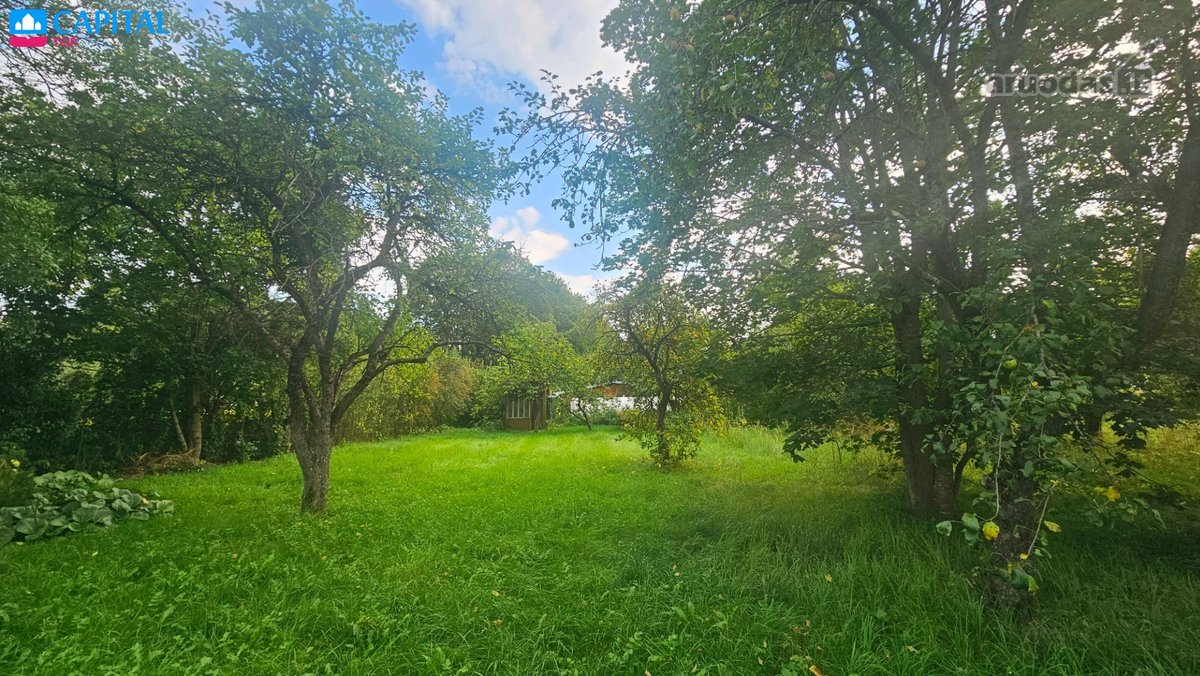 Parduodami du žemės sklypai ramioje vietoje - nuotraukos Nr. 2