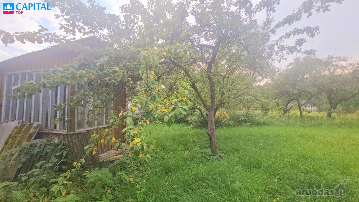 Parduodami du žemės sklypai ramioje vietoje - nuotraukos Nr. 6