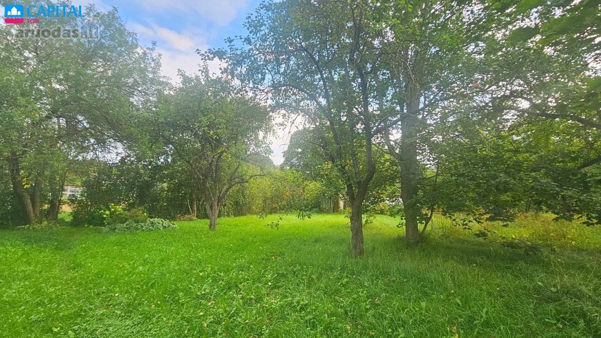 Parduodami du žemės sklypai ramioje vietoje - nuotraukos Nr. 7