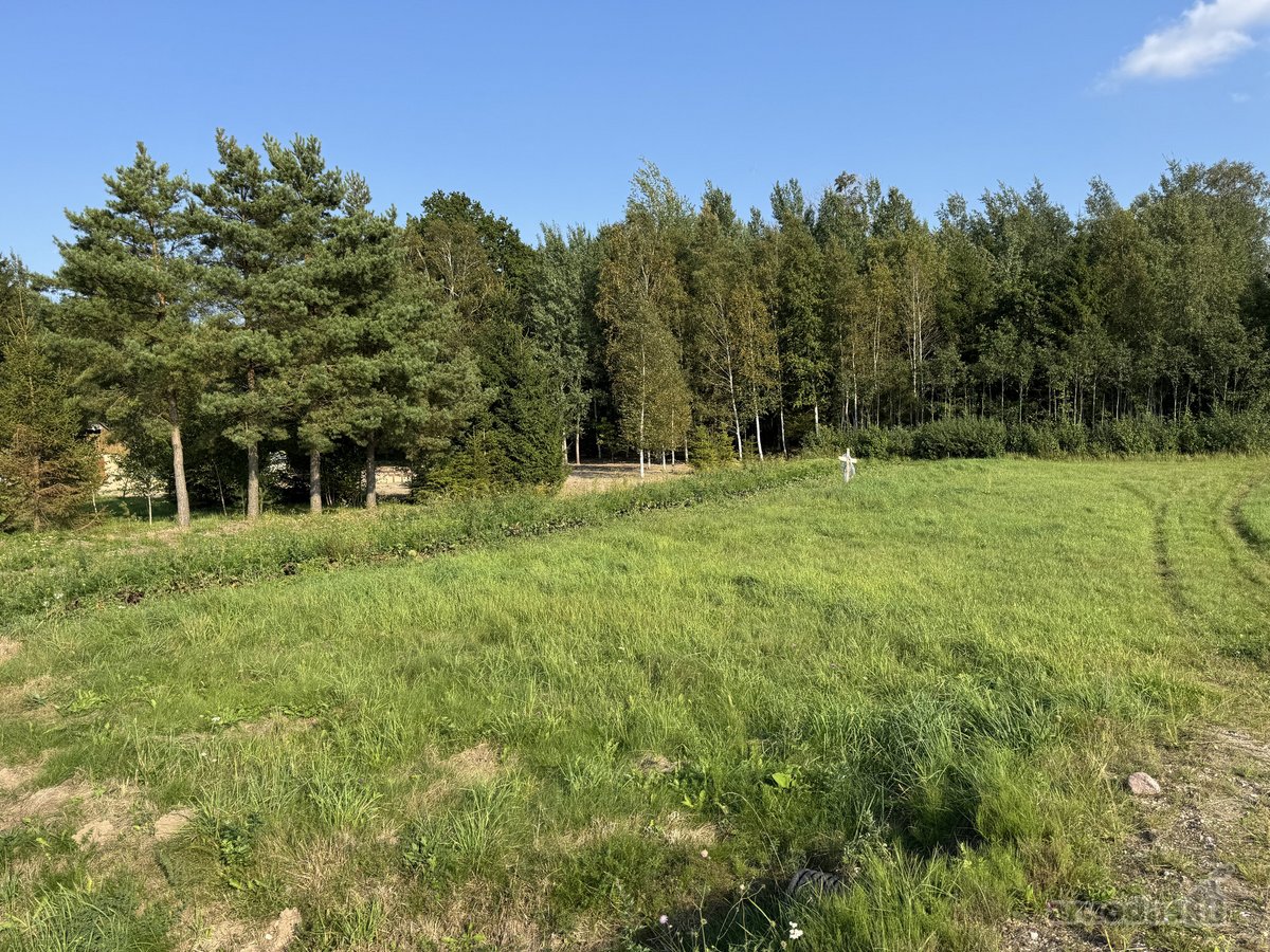 4 kilometrai nuo Kužių miestelio link