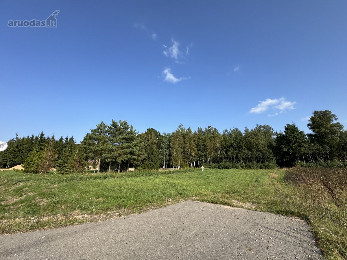 4 kilometrai nuo Kužių miestelio link - nuotraukos Nr. 3