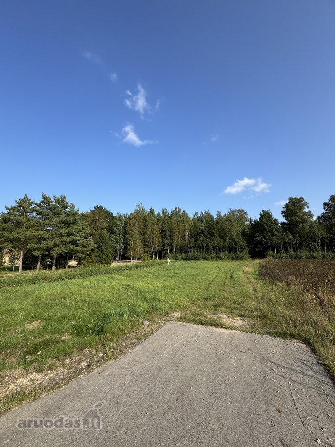 4 kilometrai nuo Kužių miestelio link - nuotraukos Nr. 2