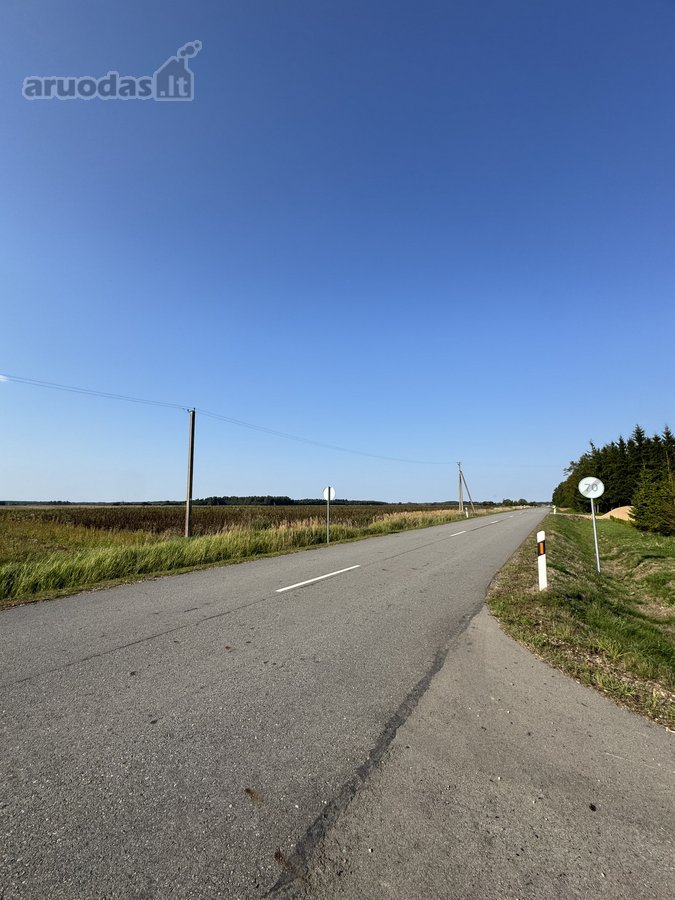 4 kilometrai nuo Kužių miestelio link - nuotraukos Nr. 4