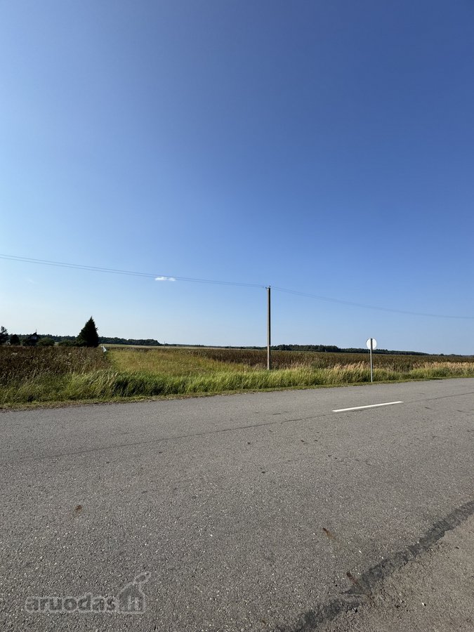 4 kilometrai nuo Kužių miestelio link - nuotraukos Nr. 5