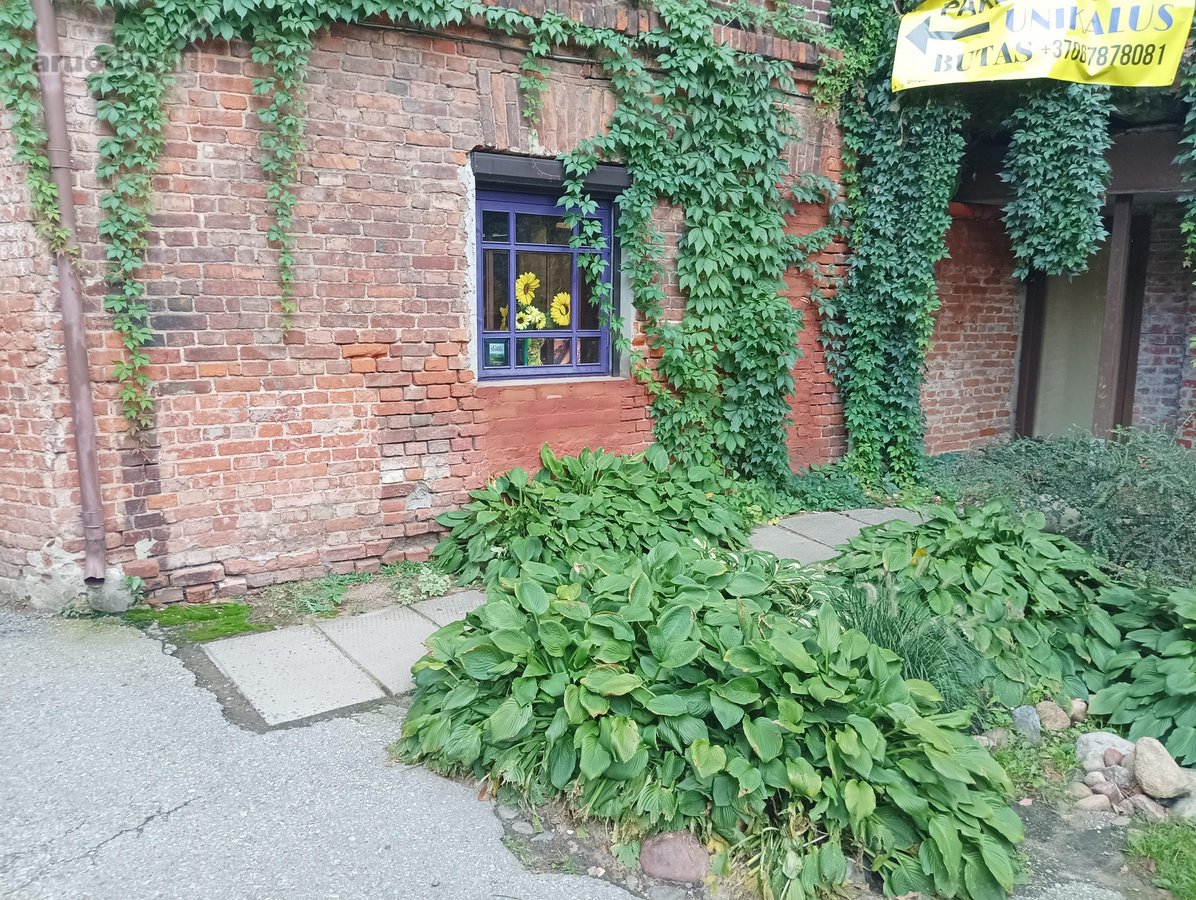 Nuomojamos patalpos Kauno centre,laisvės AL - nuotraukos Nr. 4