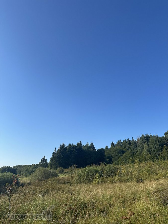 Parduodami 2 Ūkinės Paskirties Sklypai Prie - nuotraukos Nr. 8