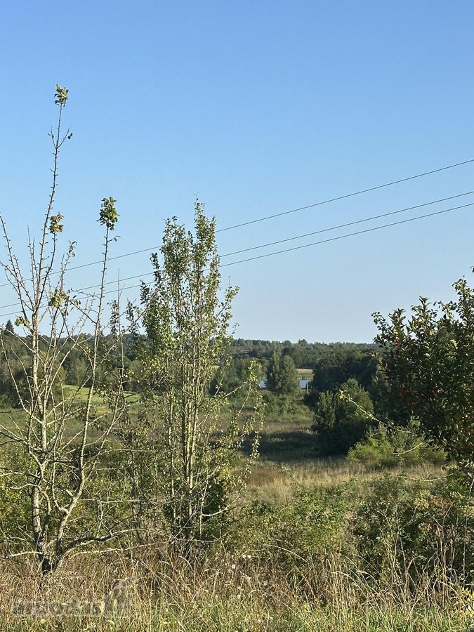 Parduodami 2 Ūkinės Paskirties Sklypai Prie - nuotraukos Nr. 11