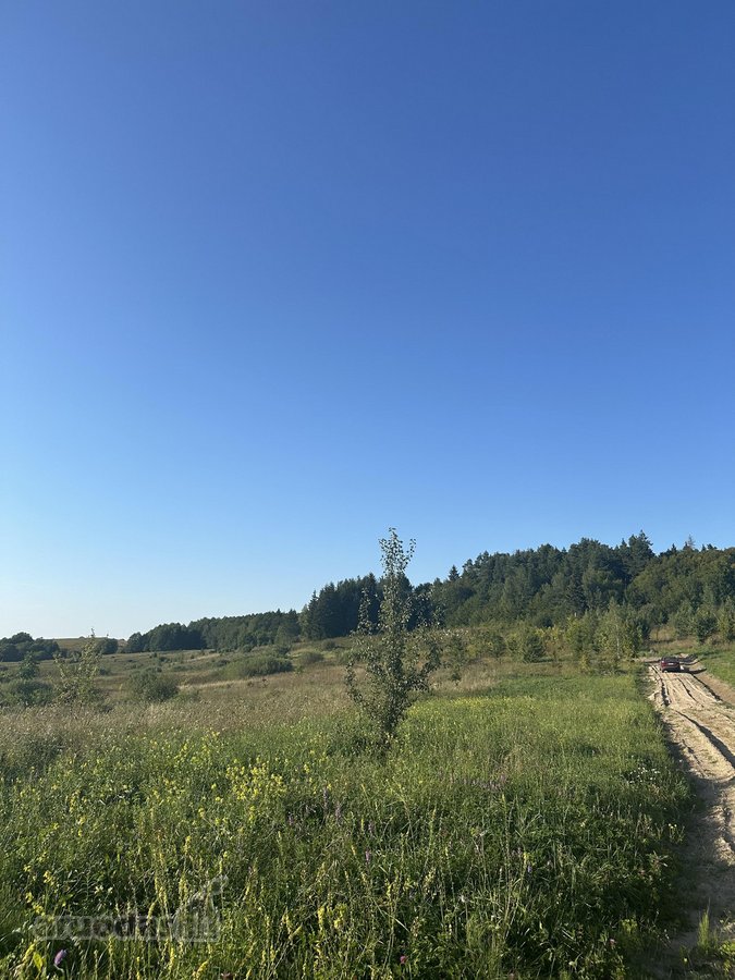 Parduodami 2 Ūkinės Paskirties Sklypai Prie - nuotraukos Nr. 12