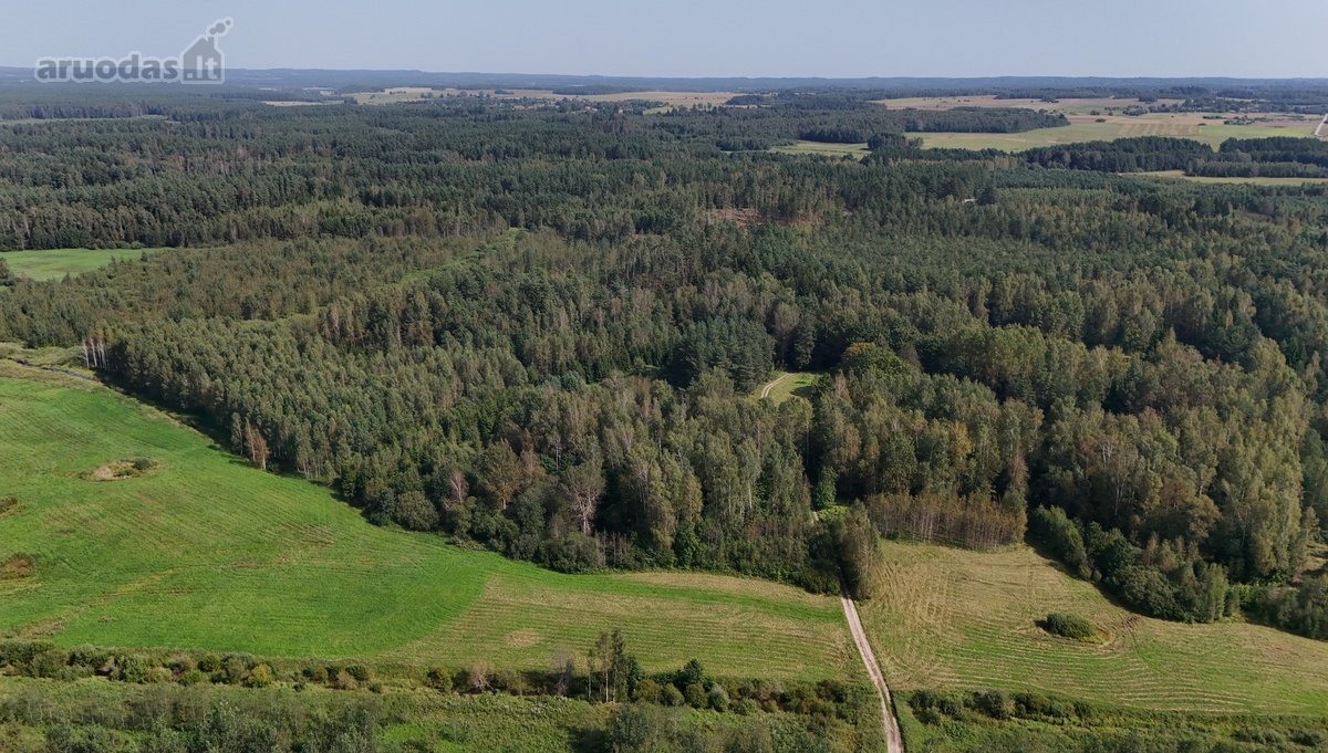 Parduodama Sodyba Švenčionių r. sav., - nuotraukos Nr. 4