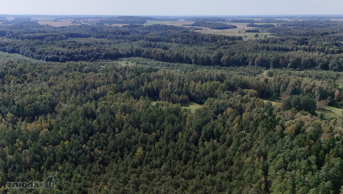 Parduodama Sodyba Švenčionių r. sav., - nuotraukos Nr. 6