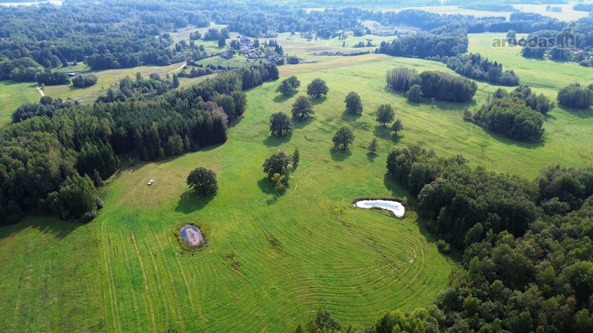 Parduodamas išskirtinis 5,06 ha sklypas ant - nuotraukos Nr. 8