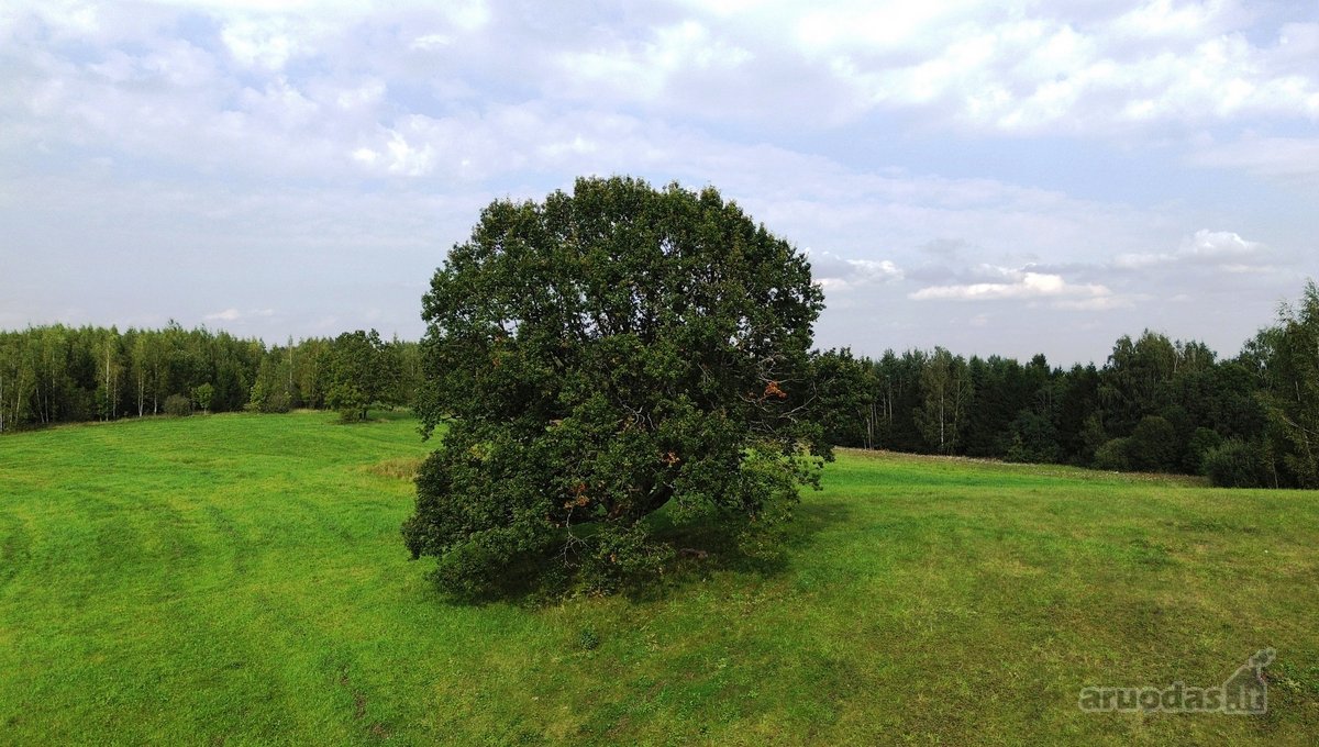 Parduodamas išskirtinis 5,06 ha sklypas ant - nuotraukos Nr. 11