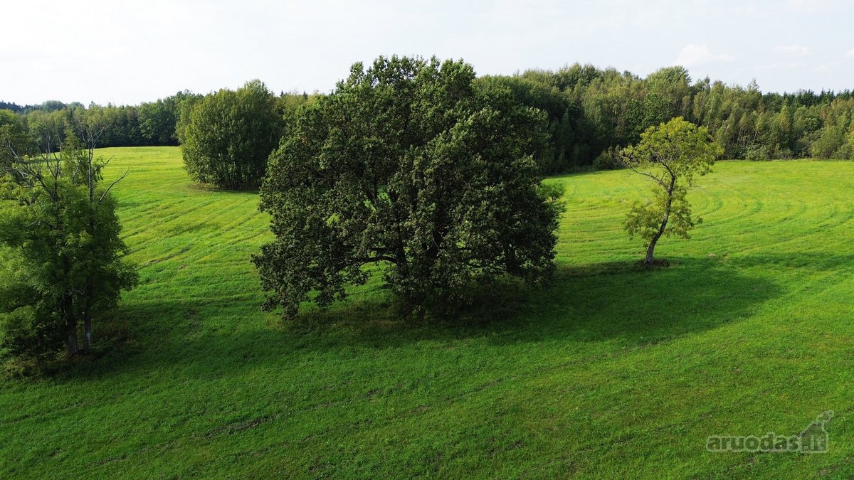 Parduodamas išskirtinis 5,06 ha sklypas ant - nuotraukos Nr. 14