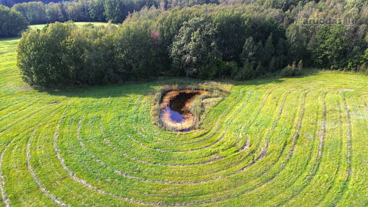 Parduodamas išskirtinis 5,06 ha sklypas ant - nuotraukos Nr. 12