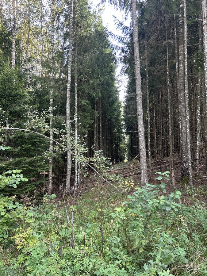 Parduodamas išskirtinis 5,06 ha sklypas ant - nuotraukos Nr. 15