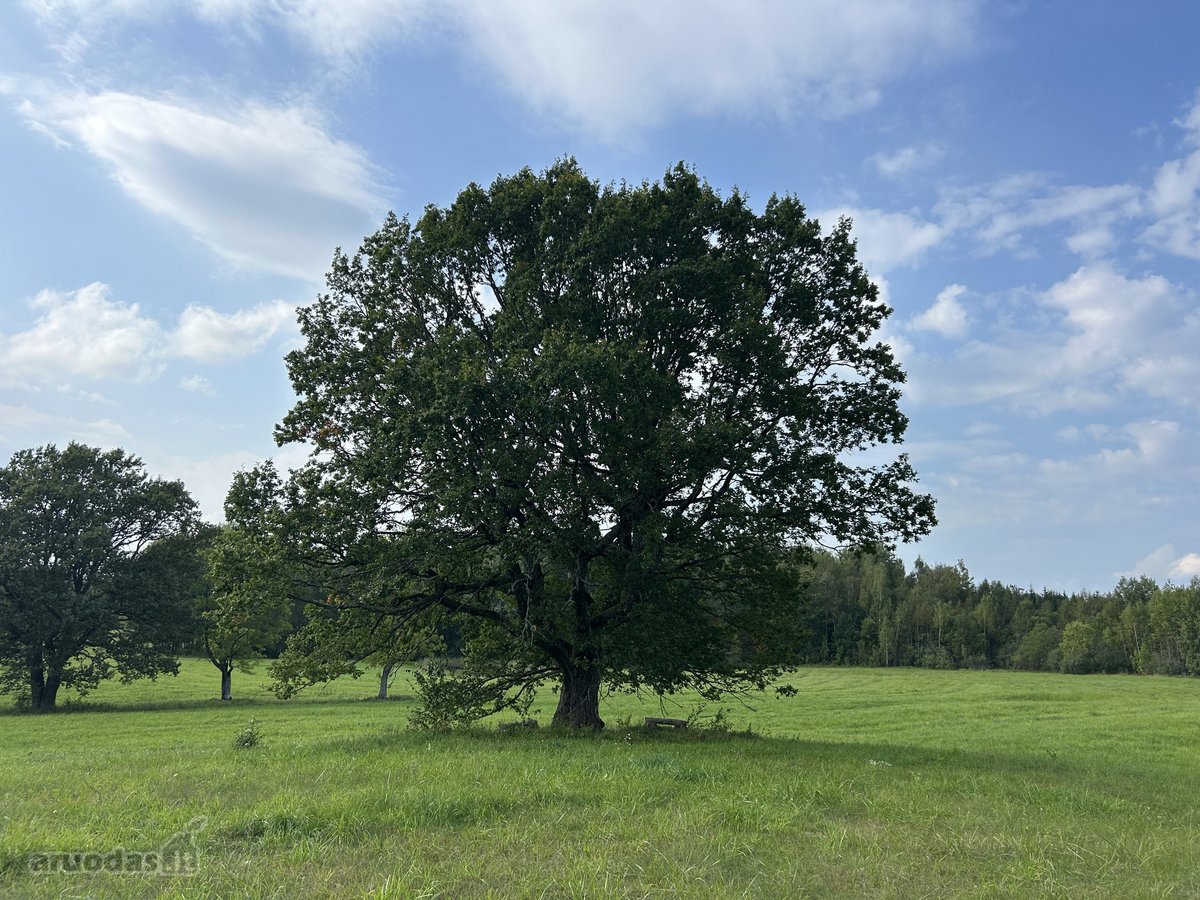 Parduodamas išskirtinis 5,06 ha sklypas ant - nuotraukos Nr. 17