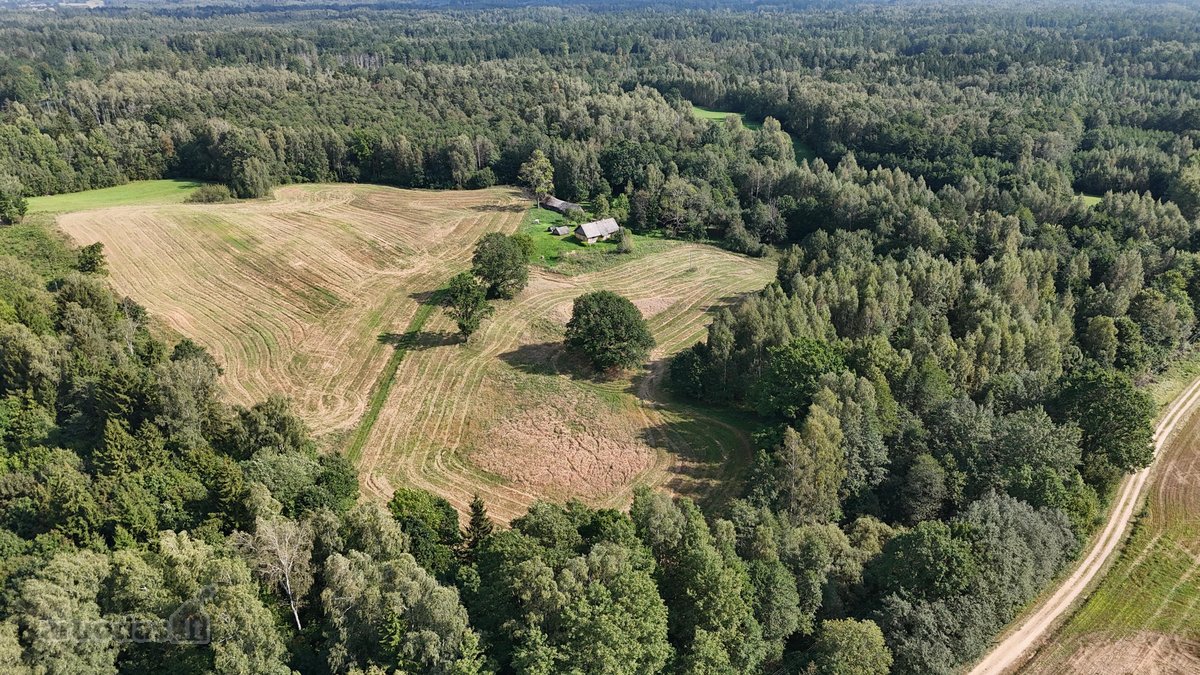 Parduodama sodyba su 11.24 ha žemės sklypu, - nuotraukos Nr. 4