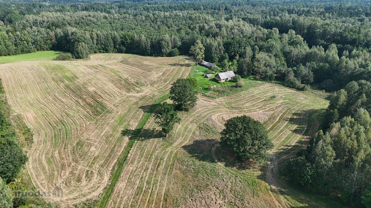 Parduodama sodyba su 11.24 ha žemės sklypu, - nuotraukos Nr. 5