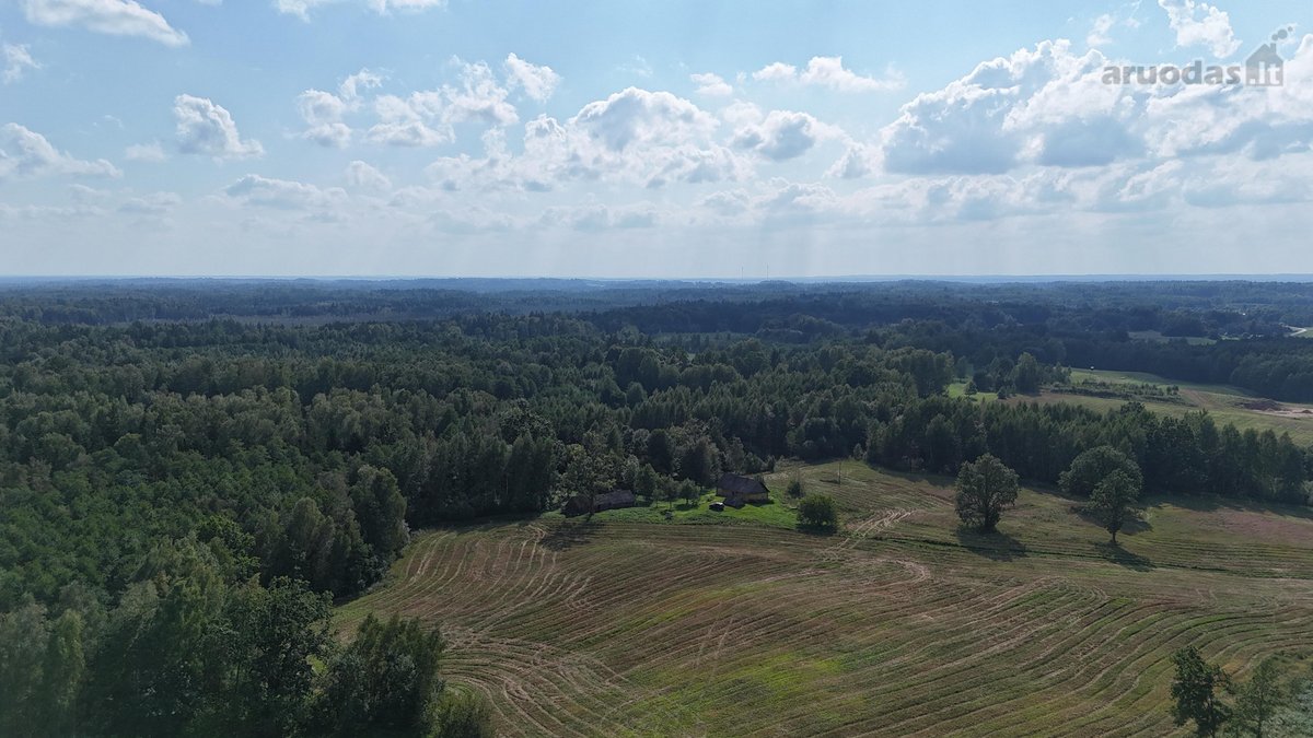 Parduodama sodyba su 11.24 ha žemės sklypu, - nuotraukos Nr. 6