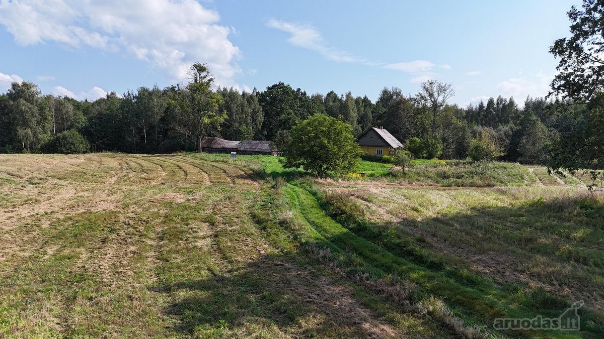 Parduodama sodyba su 11.24 ha žemės sklypu, - nuotraukos Nr. 7