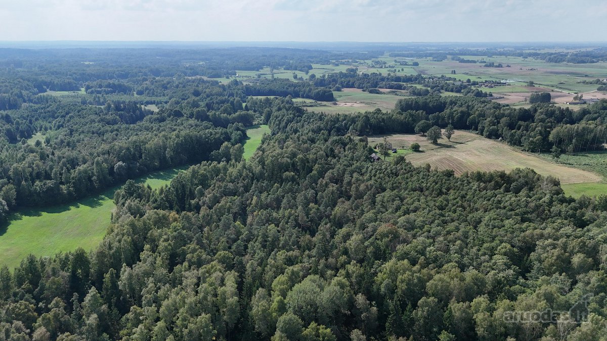 Parduodama sodyba su 11.24 ha žemės sklypu, - nuotraukos Nr. 10