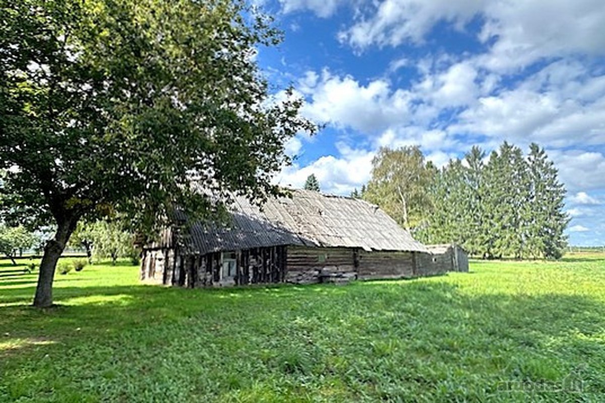 Parduodamas 8,1889 Ha Sklypas Su Rąstiniu 61 - nuotraukos Nr. 18